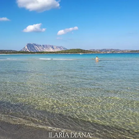 Edilmare San Teodoro